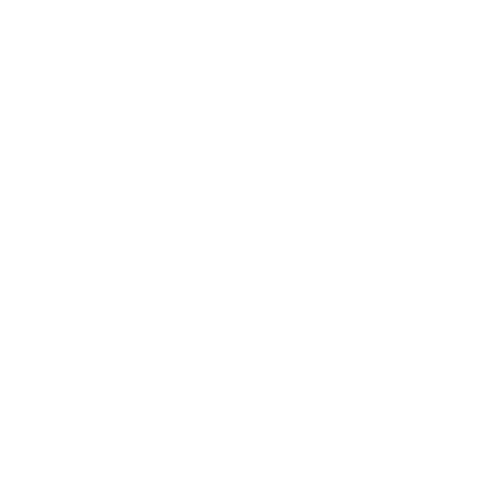 linkedin icon